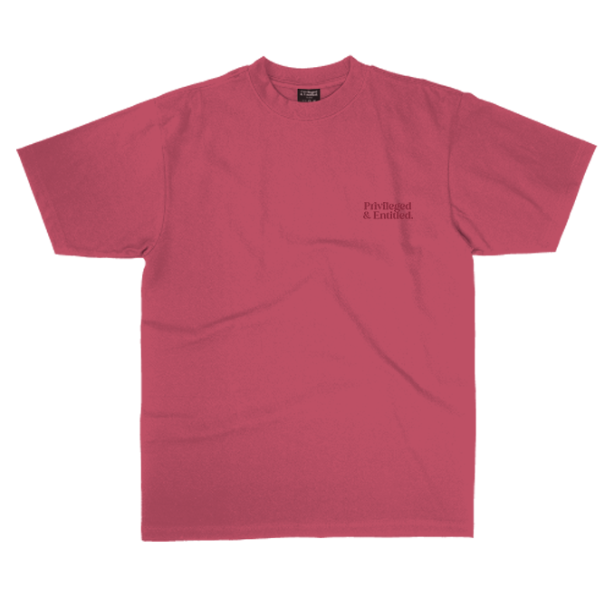 Embroidered Logo HW Shirt - Clay Red